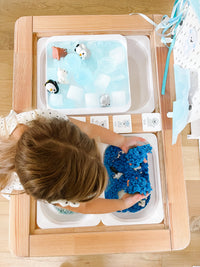 Arctic Polar Animals Printable Dramatic Play