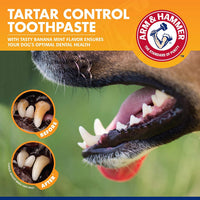 for Pets Tartar Control Kit for dogs - BIG FRENCHIES