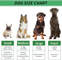 Cactus Dog Chew Toy for Aggressive Chewers - For Small Dog(Up to15lbs) / Green - image 4