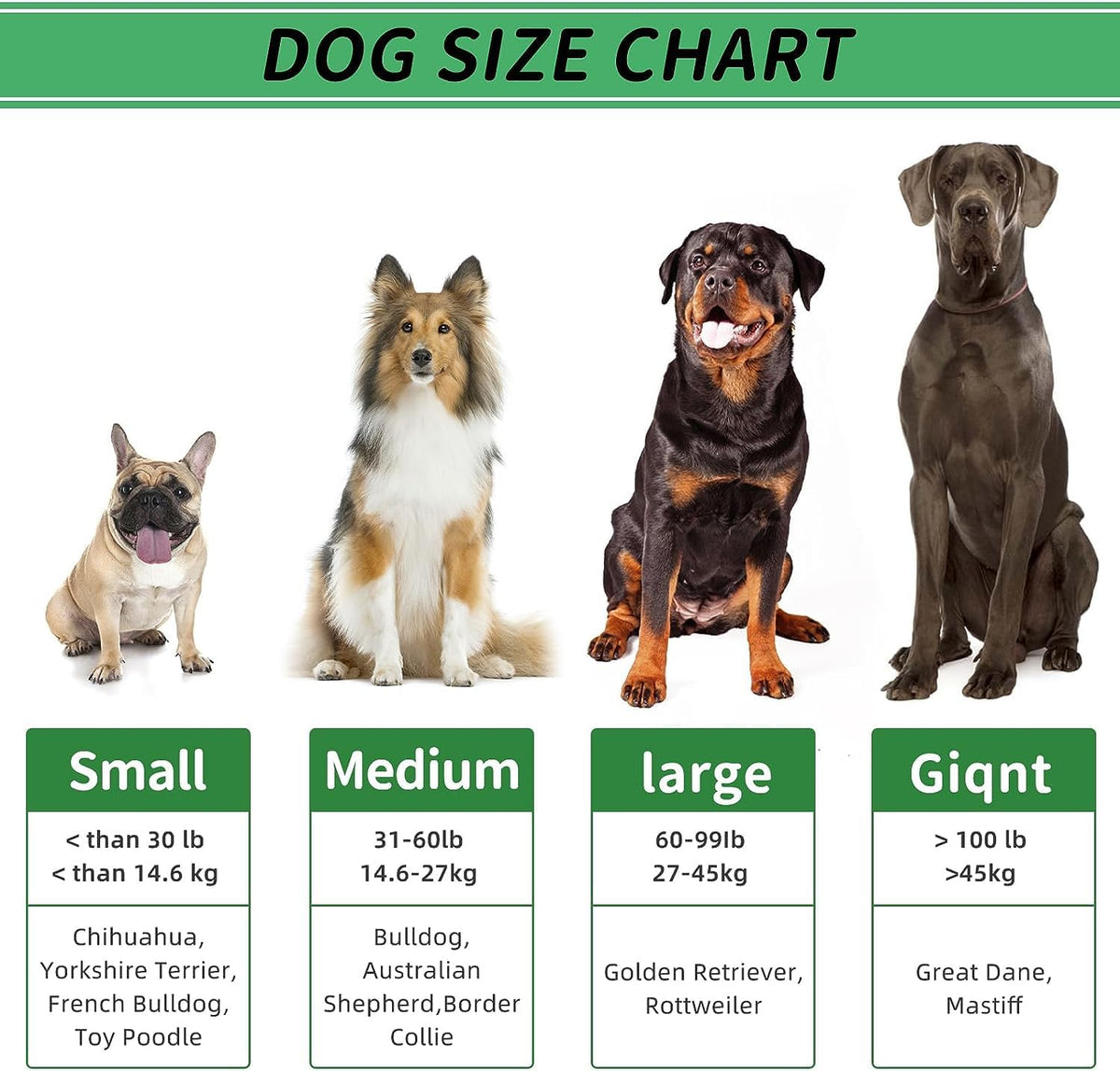 Cactus Dog Chew Toy for Aggressive Chewers - For Small Dog(Up to15lbs) / Green - image 4