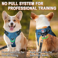 BARKBAY Dog Harness, Reflective Adjustable Step-in Vest Harness, Blue/Black, XXS