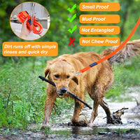 Vivifying Waterproof Long Dog Leash - 32ft / Orange - image 3