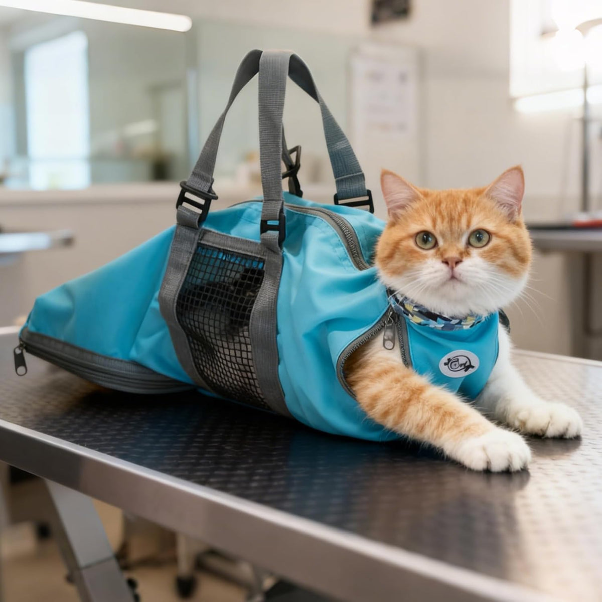 Cinf Cat Restraint Grooming Bag - M (8-12lbs) / Blue