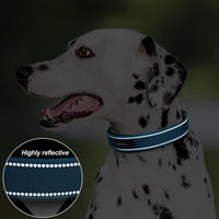 PetiFine Dog Collars for Medium Dogs - Blue / Small (11"-14.5") - image 4