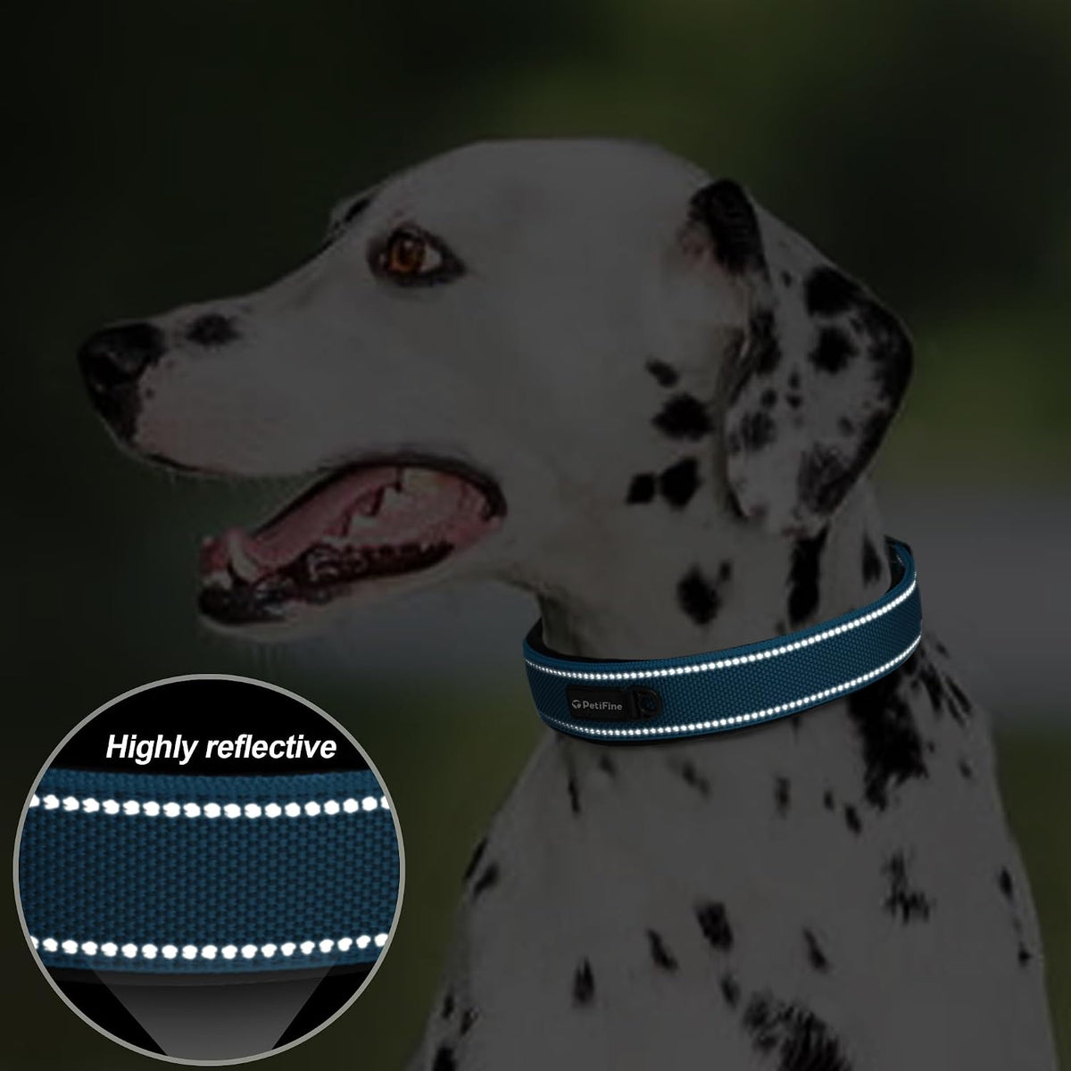 PetiFine Dog Collars for Medium Dogs - Blue / Small (11"-14.5") - image 4