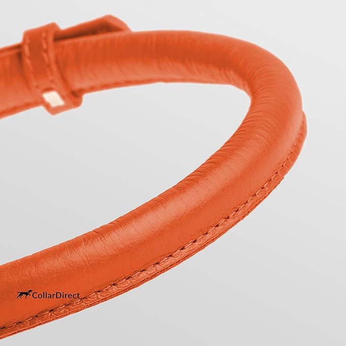 CollarDirect Rolled Leather Dog Collar, Soft Padded Round Puppy Collar, Handmade Genuine Leather Collar Dog Small Large Cat Collars 13 Colors (18-22 Inch, Orange Textured)