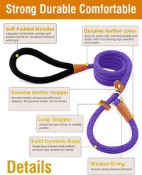 Dog Leash Slip Lead Braided Rope Pet Training Loop Leashes 5ft 6ft 8ft – Essentials for Dogs - Purple / Slip Lead-3/8in x 6ft Small - image 2