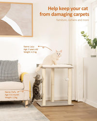 Modern Cat Tree for Large Cats, Full Sisal Cat Scratching Post – Essentials for Cats - Greige / 22"L x 15.7"W x 26.7"H - image 2