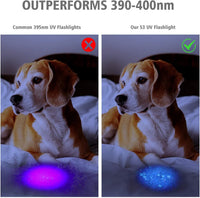 S3 365nm UV Flashlight with 3 LEDs – Essentials for Dogs - image 3