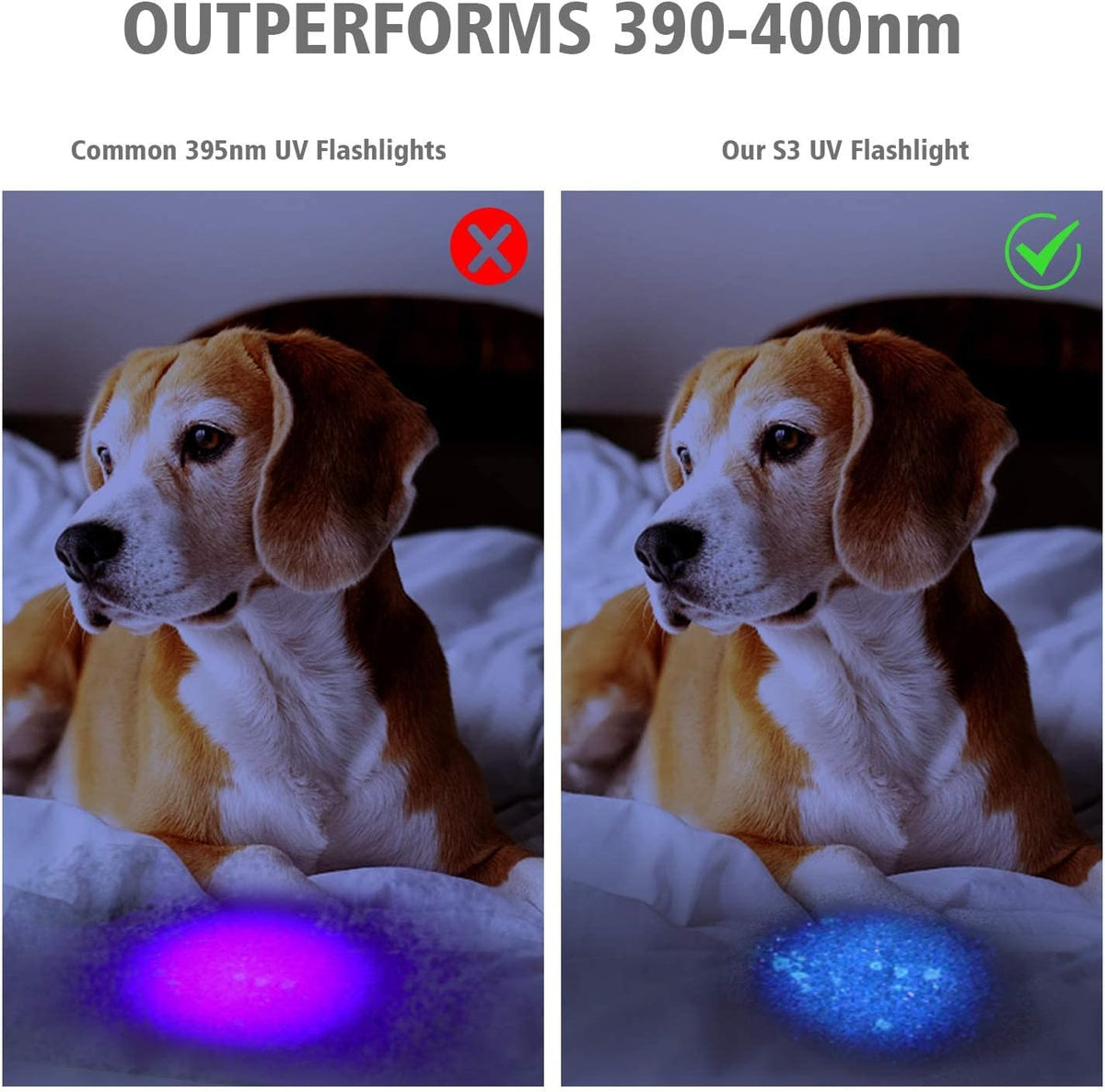 S3 365nm UV Flashlight with 3 LEDs – Essentials for Dogs - image 3