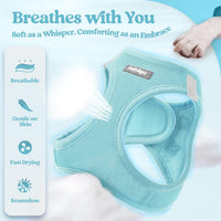 rabbitgoo Dog Harness Small Sized and Leash Set - Mint Blue / M (chest: 16 - 18.5") - image 3