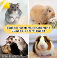 Rabbit Chew Toy,Bunny Chew Toys for Teeth Grinding,Natural Apple Branch Teething Sticks with Hay Grass Cake Improve Dental Health Bunny Hanging Chew Toys for Rabbits,Chinchillas,Hamster (4 Pcs)