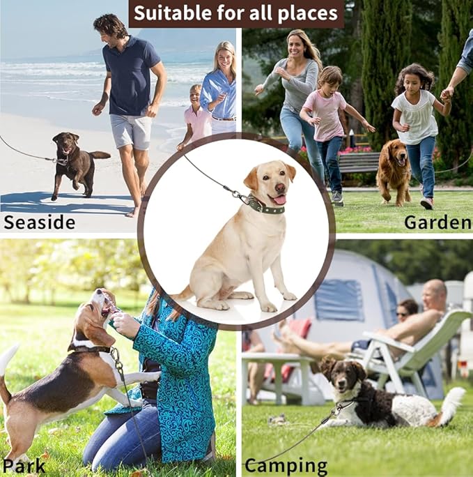 Dog tie Out Cable, 10/20/25/30/50/70/100 feet, Suitable for Dogs up to 350 pounds, Dog Cable with Swivel Buckle, Lightweight, Non-Winding, for Outdoor Camping, Yard Dog Cable (Black, 30FT)