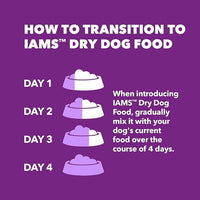 IAMS Advanced Health Skin & Coat Adult Dry Dog Food Chicken and Salmon Recipe, 36 lb. Bag