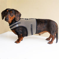 Mini Dachshund Harness, No Armpit Rub, Escape Proof, Reflective - Khaki / M: Chest 42-52cm (16.5"-20.5") - image 4