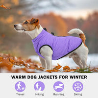 Winter Dog Vest Coat with Harness Built in – Essentials for Dogs - #2 Purple-Gloss / L(Chest 19")-Regular - image 3