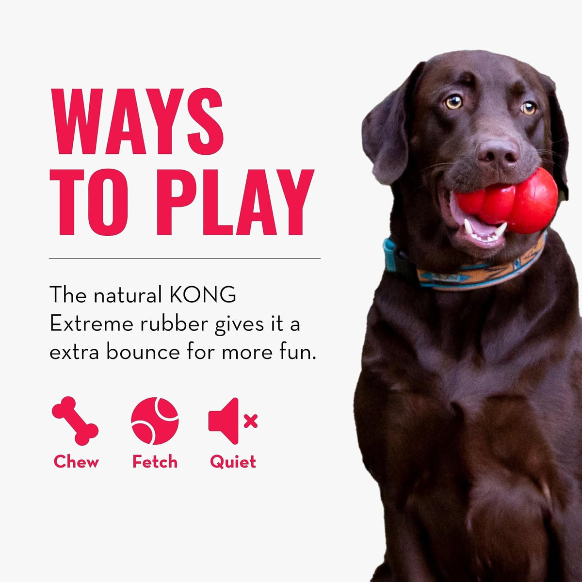 KONG Extreme Ball with Hole, Fetch Toy, Black - Large - image 4