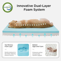 Bedsure Memory Foam Dog Beds Large Sized Dog - 35"L x 22"W x 3"Th / Grey - image 2
