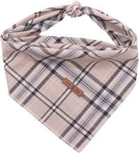 Lionet Paws Spring Daisy Dog Bandana Washable Cotton Handkerchief - Grey / Large (Pack of 1)
