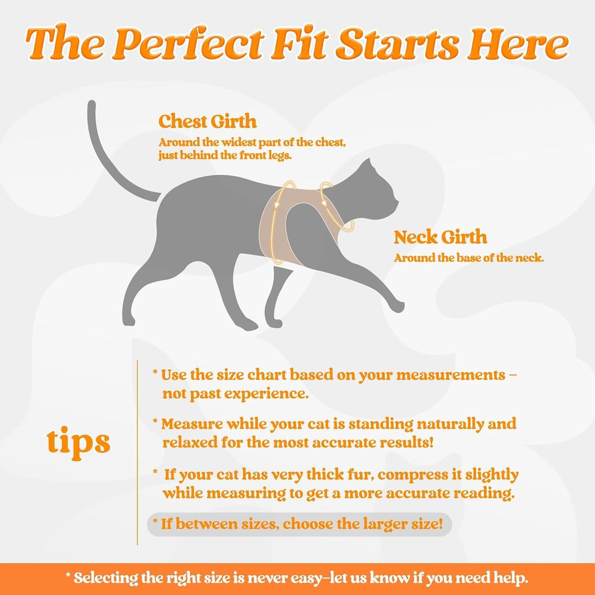 rabbitgoo Cat Harness and Leash Set, Step-in Soft Vest - M / Orange - image 2