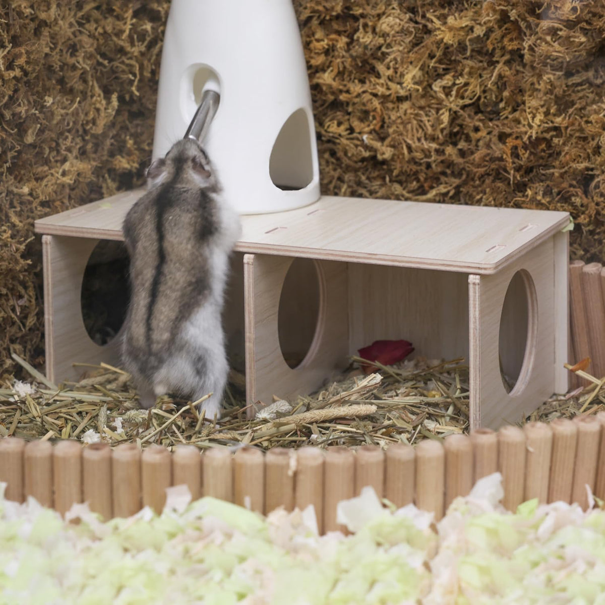 Hamster Peep Tunnel, 2-Chamber Wooden Hamster Hideout - Medium for Dwarf Hamster - image 4