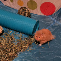 Plastic Hamster Tunnels, Small Animal Tubes - 【Blue】 / 【2 PCS】 - image 2