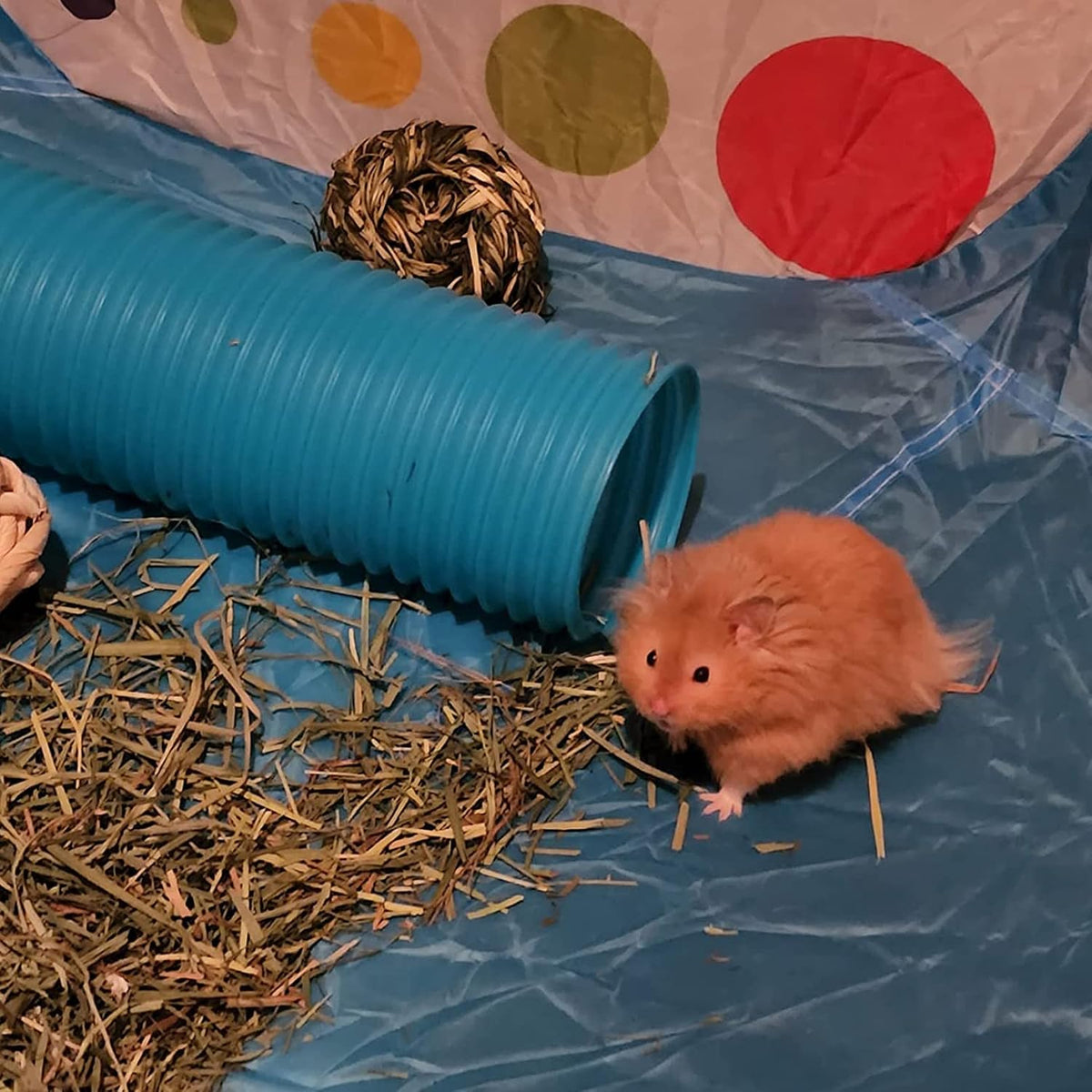 Plastic Hamster Tunnels, Small Animal Tubes - 【Blue】 / 【2 PCS】 - image 2