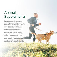 Standard Process Inc. Feline Immune System Support - Nutritional Supplement for Feline Immune Health Support - Cat Supplement Tablets to Aid Healthy Immune Cells & Tissue - 90 Tablets
