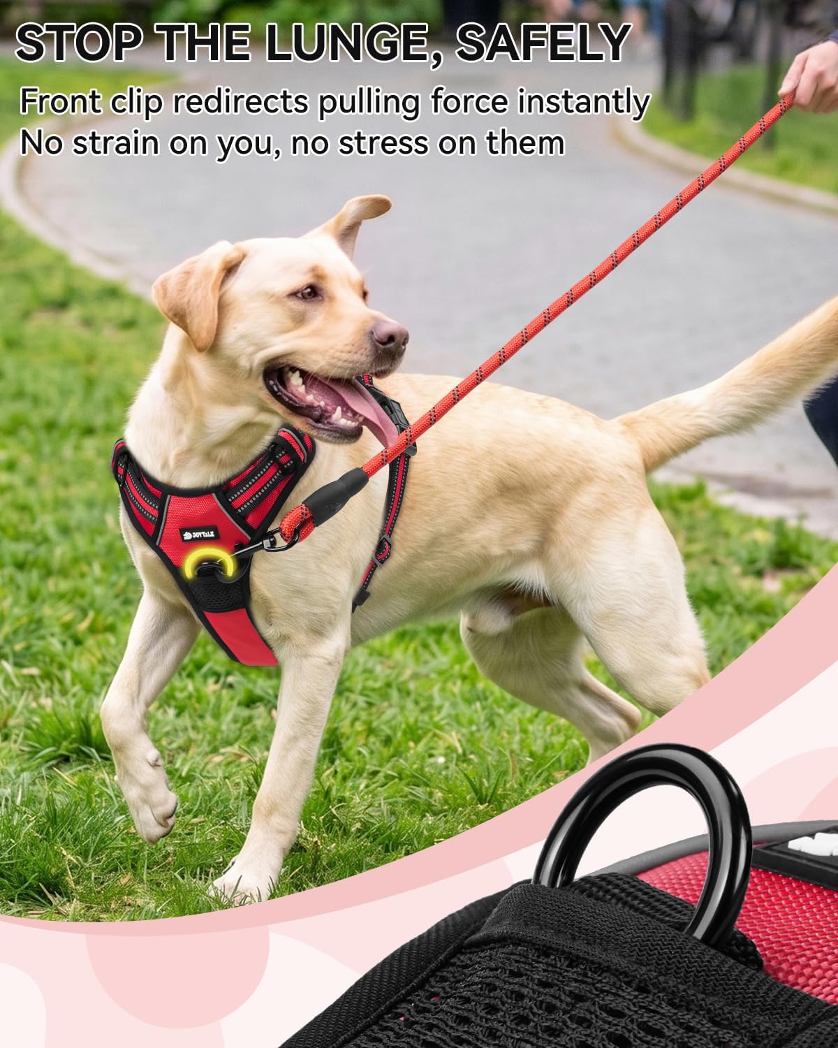 Joytale No Pull Dog Harness & Seat Belt, Easy On 3-Buckle, L - Red / Small - image 4