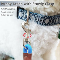 WYuZe 5ft Puppy Leash for Small Dogs Cats - Blue / 5 FT (3~18 lbs) - image 3
