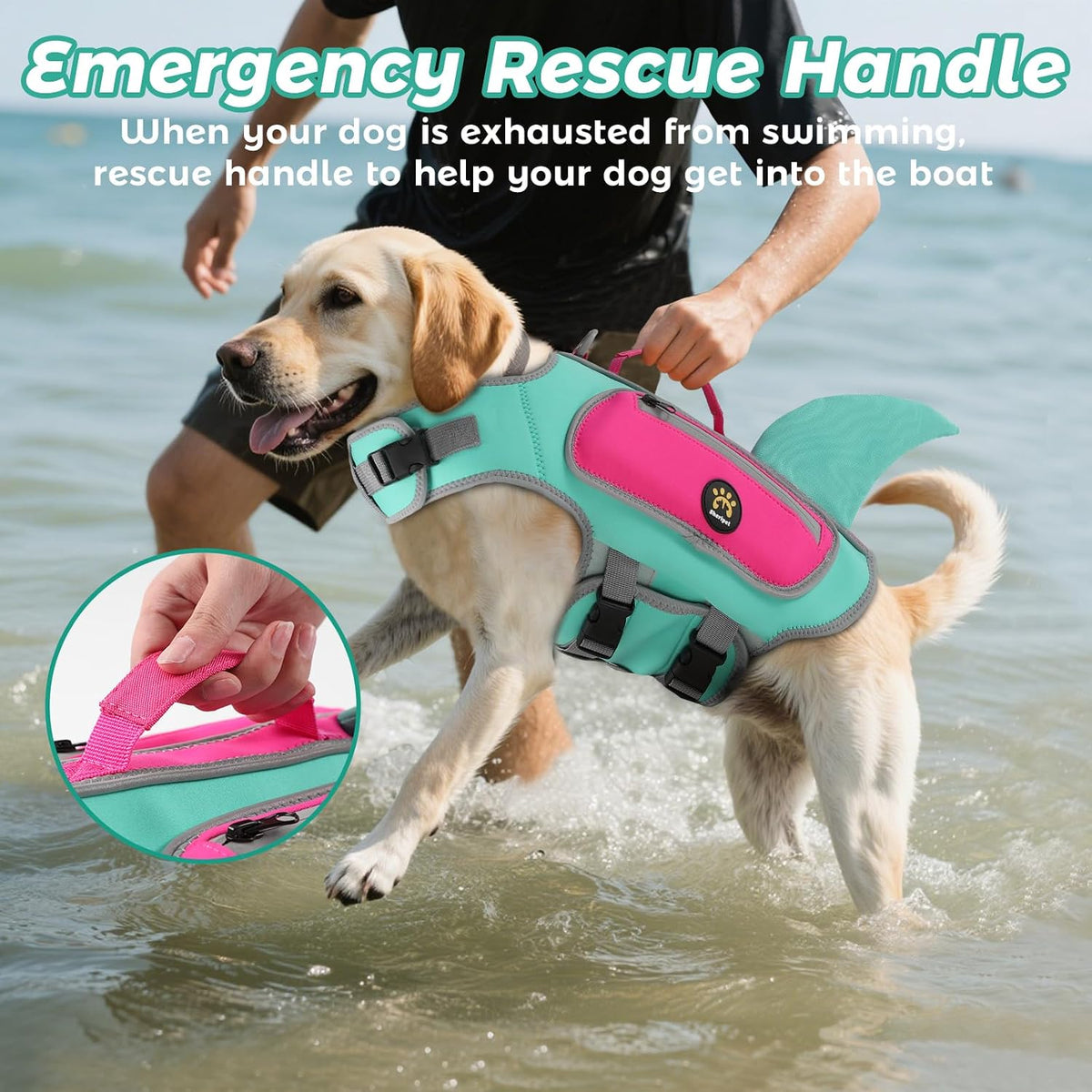 Dog Life Vests for Boating and Swimming, Dog Life Jacket – Essentials for Dogs - Turquoise / Large - image 2