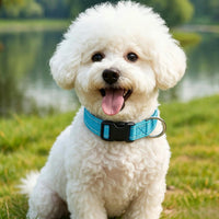 Dog Collar for Small Medium Dogs with Buckle - Sky Blue / Small - image 2