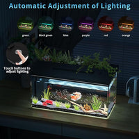 3.7 Gallon Betta Fish Tank self Cleaning,Smart Aquarium Aquarium kit with Filter Light Water Pump