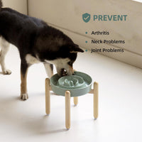Ceramic Slow Feeder Dog Bowls - Light Green / 8.2inch-A+Stand - image 4