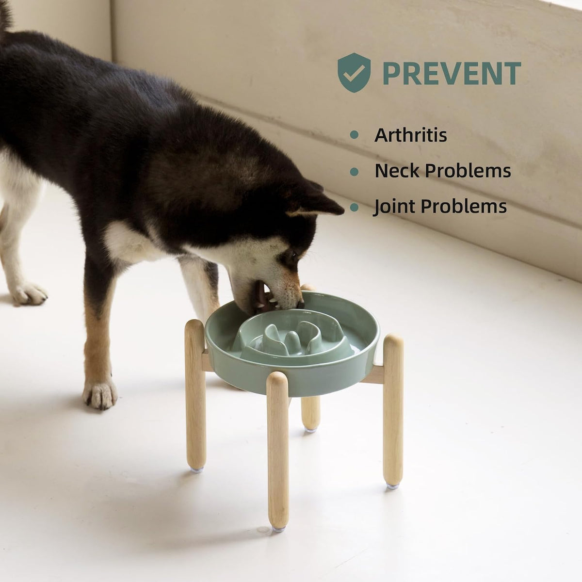 Ceramic Slow Feeder Dog Bowls - Light Green / 8.2inch-A+Stand - image 4