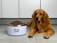 Tuff Pupper 100 oz Heavy Duty Insulated Stainless Steel Dog Bowl - 188oz / Snow White - image 2