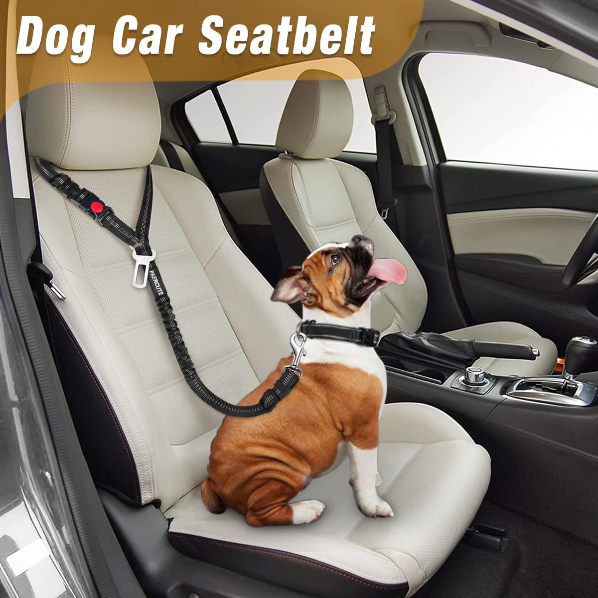 2 Piece Set Dog Seat Belt, Retractable Car Seatbelts - Orange