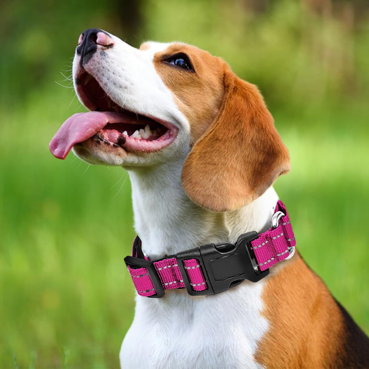 Reflective Martingale Dog Collars. Dog Collar with Quick Release - M:1" Wide for 14.5"-19.5" Neck / Rose Red - image 2