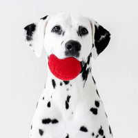 Playology Durable Plush Bone Toy, Squeaky Bone, Jumbo - Jumbo Ball / Beef - image 2