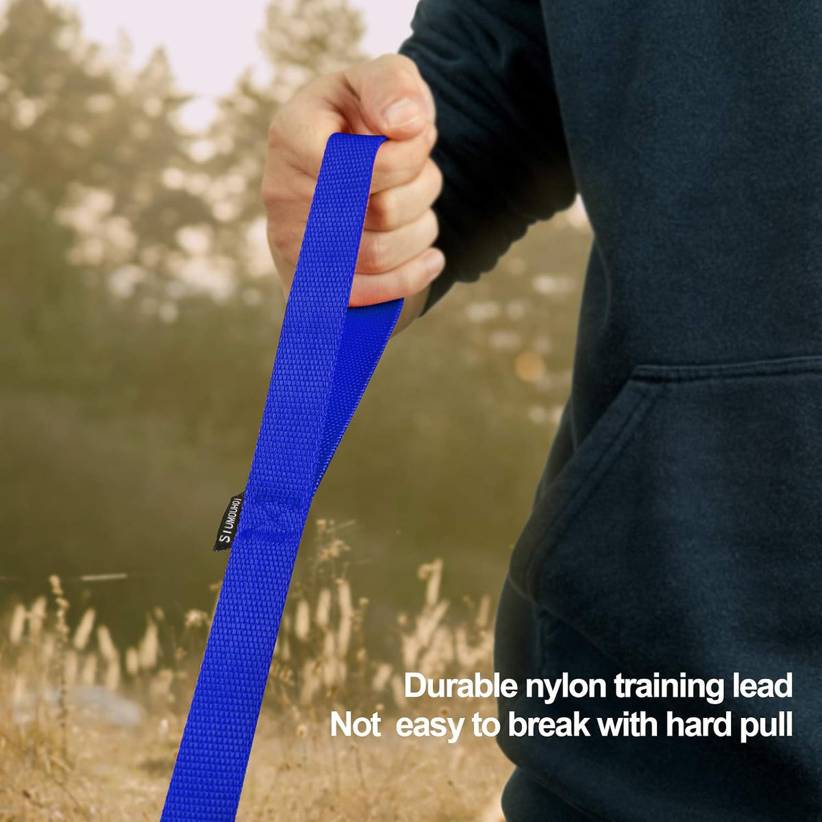 Dog/Puppy Obedience Recall Training Agility Lead, Great for Play - Blue / 15 Feet - image 4