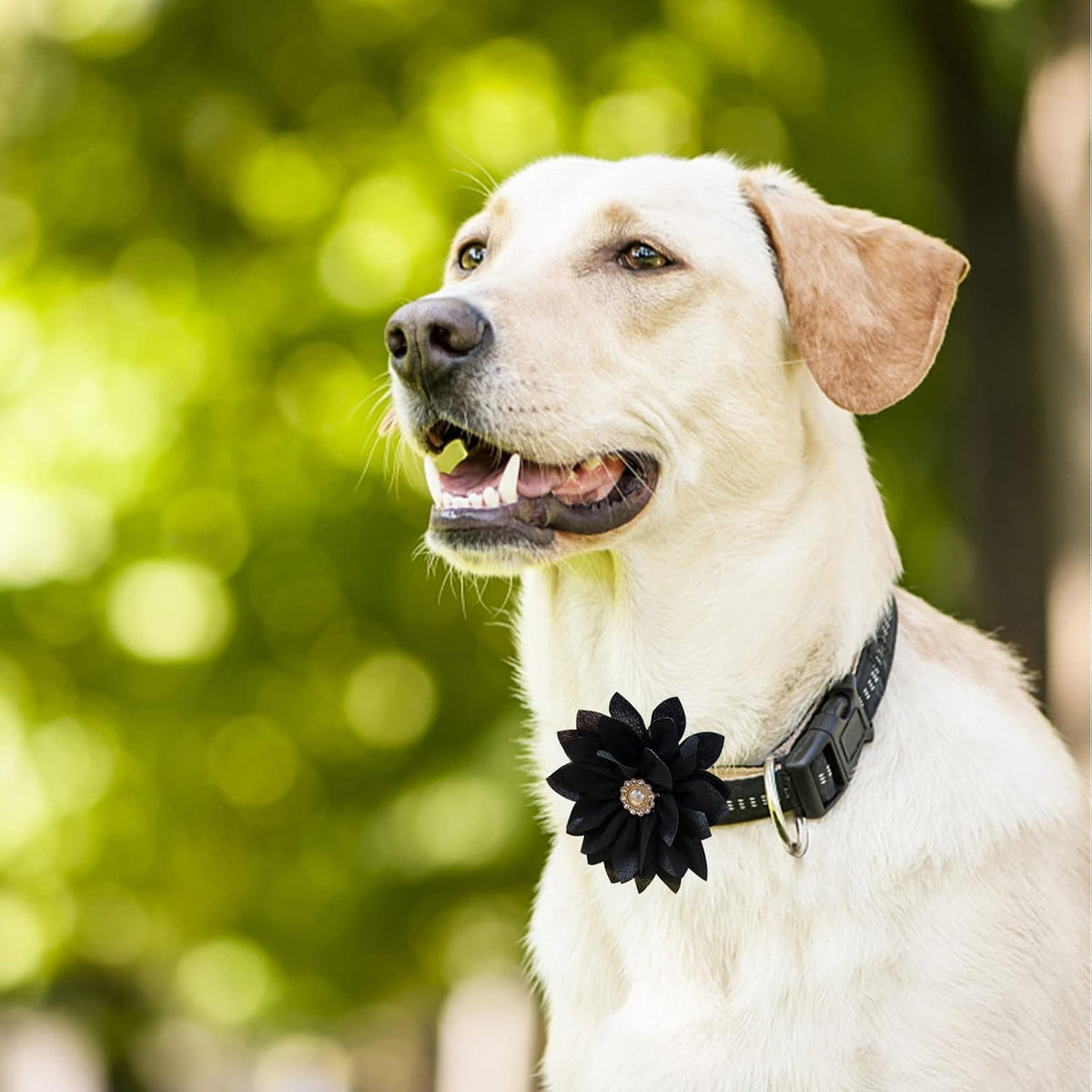Collar Flowers with Pearl - Large - image 4