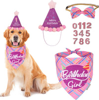 Dog Birthday Hat Bandana Set, Blue Plaid Boy Dog Bandana - X-Large / Pink Violet Girl