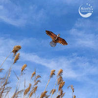 Bald Eagle Kite for Kids & Adults - Eagle Kite with 60" Wingspan - image 2