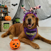 Halloween Dog Bandanas with No Tricks Sign - So Franken Cute, Purple / Small - image 2