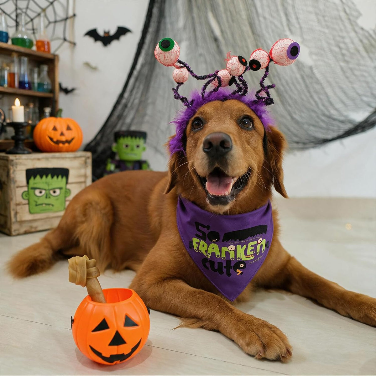Halloween Dog Bandanas with No Tricks Sign - So Franken Cute, Purple / Small - image 2