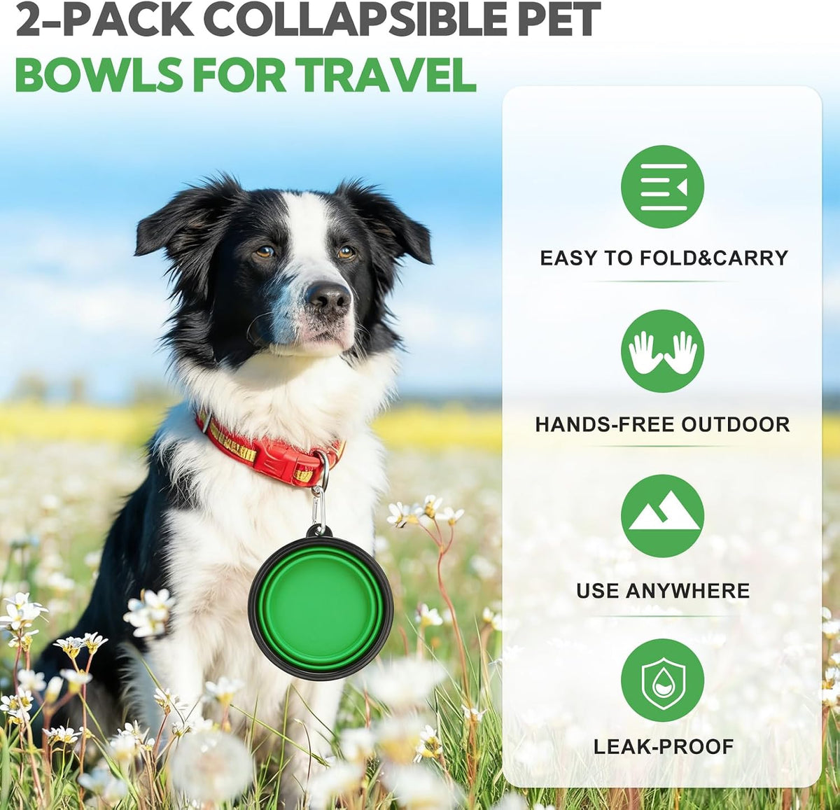 Collapsible Dog Bowl for Travel - Large / Green+Purple - image 3
