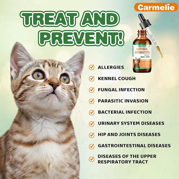 Natural Antibiotics for Cats – Cat Antibiotics for Allergy Relief, Urinary Tract Support, Itch Relief, and Immune Support – Promotes Urinary Tract Health – Cat and Dog Supplemental Vitamins – 2 fl oz