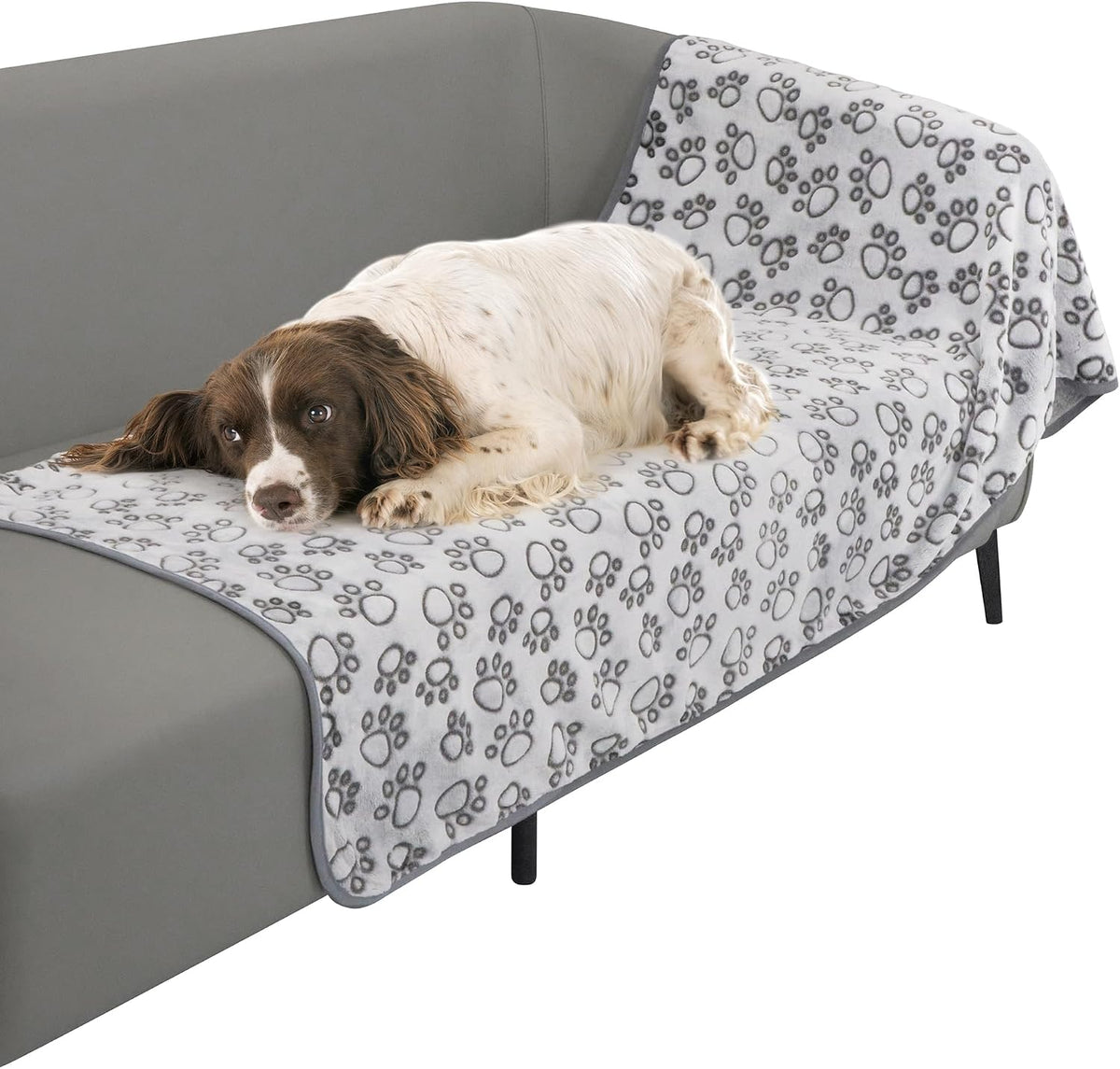 Stuffed Premium Soft Dog Blanket Washable - Grey / L(30x70")