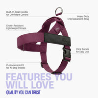 Dog Friendly Co. Dog Harness for Medium Sized Dogs – Essentials for Dogs - Burgundy / Medium - image 2