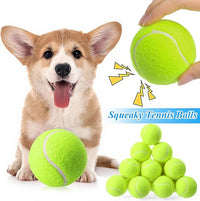 Skylety 100 Pcs 2.5 inch Squeaky Tennis Balls Bulk for Dogs Bouncy Floatable Tennis Balls Dog Playing Supplies Training Interactive Fetch Toys for Small Medium Puppy Exercise and Practice (Green)